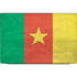 Cameroon Flag Distressed Dell Vostro Skin